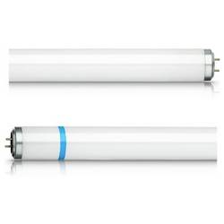 Signify UV lampa G13 18 W (Ø x d) 28 mm x 604 mm 64 V 1 ks