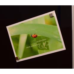 Maul neodymový magnet MAUL (š x v x h) 10 x 10 x 10 mm krychle stříbrná 4 ks 6169296