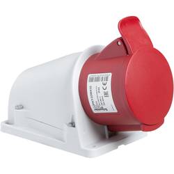 Schneider Electric PKY16W435 PKY16W435 CEE zásuvka na stěnu, 16 A, 415 V, 1 ks