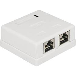 Delock 86269 síťová zásuvka pod omítku panel s čelní deskou a rámečkem CAT 6 2 porty bílá