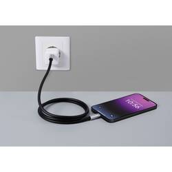 Renkforce Kabel USB-C USB 2.0 USB-C ® zástrčka, USB-C ® zástrčka 1.00 m černá RF-6056872