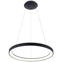 Deko Light Sculptoris 400 342190 závěsné světlo LED pevně vestavěné LED 30 W sytá černá (RAL 9005)