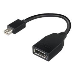 Lenovo 4X90L13971 adaptér [1x mini DisplayPort zástrčka - 1x zásuvka DisplayPort] černá