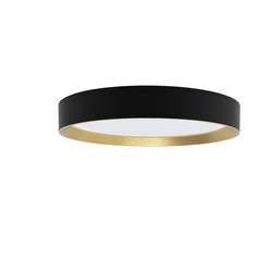 Philips 8720169301337 Hanno LED stropní svítidlo LED 24 W černá, zlatá