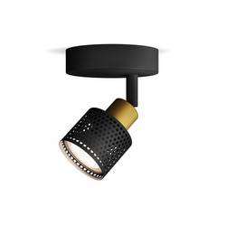 Philips Niall 8720169300071 stropní lampa GU10 černá, zlatá