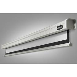 Celexon Motor Professional 1090099 elektrické projekční plátno 290 x 218 cm Formát obrazu: 4:3