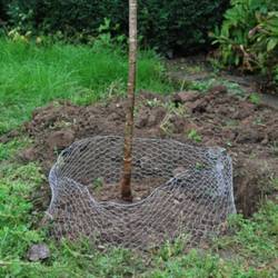 Siena Garden P08228, Košík na hraboše 1 ks