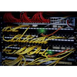 Renkforce RJ45 síťové kabely, propojovací kabely CAT 6A S/FTP 0.50 m oranžová Funkce vyhledávání portů, bez halogenů, samozhášecí 1 ks