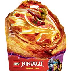 71823 LEGO® NINJAGO Drak ve tvaru špinjitna