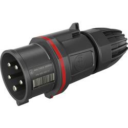 Walther Werke FW211506CC CEE zástrčka, 16 A, 5pólová, 230 V, 400 V, 1 ks