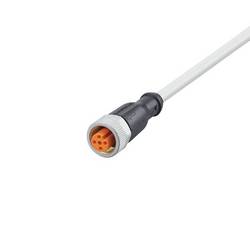 ifm Electronic EVW168 Přívodní kabel, EVW168, piny: 5, 5 m, 1 ks