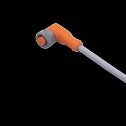 ifm Electronic EVW005 Přívodní kabel, EVW005, piny: 5, 5 m, 1 ks