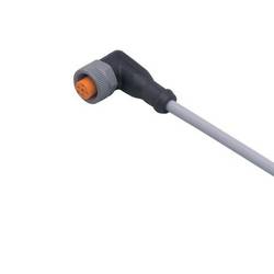 ifm Electronic EVW008 Přívodní kabel, EVW008, piny: 5, 5 m, 1 ks
