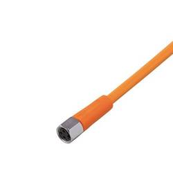 ifm Electronic EVT124 Přívodní kabel, EVT124, piny: 3, 10 m, 1 ks