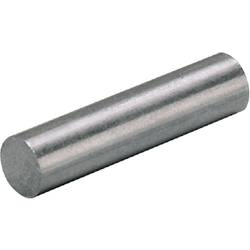 ifm Electronic E12706 Tlumicí magnet E12706 5 ks