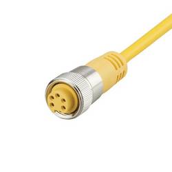 ifm Electronic E11246 Přívodní kabel, E11246, piny: 5, 5 m, 1 ks