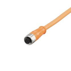 ifm Electronic E12400 Přívodní kabel, E12400, piny: 8, 15 m, 1 ks