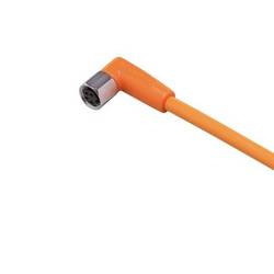 ifm Electronic EVT141 Přívodní kabel, EVT141, piny: 4, 25 m, 1 ks