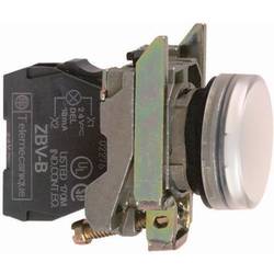Schneider Electric XB4BVB1 signalizační světlo bílá 24 V/DC, 24 V/AC 1 ks