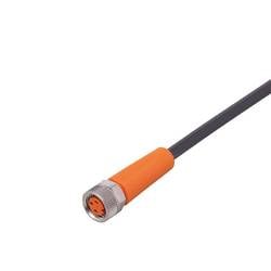ifm Electronic EVC501 Přívodní kabel, EVC501, piny: 3, 20 m, 1 ks