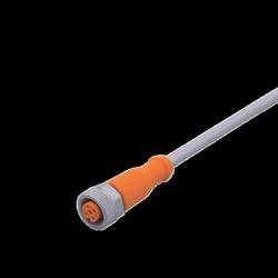 ifm Electronic EVW111 Přívodní kabel, EVW111, piny: 5, 25 m, 1 ks