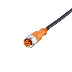 ifm Electronic EVM077 Přívodní kabel, EVM077, piny: 5, 5 m, 1 ks