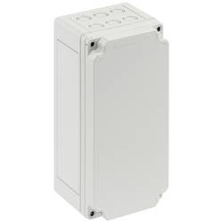 Spelsberg SVi LS-g 59112201 univerzální pouzdro 150 x 300 x 137 plast šedá 1 ks