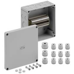 Spelsberg RKi 4/18-18x4q rozvodnice 180 x 182 x 90 plast šedá 1 ks