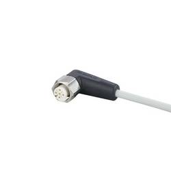 ifm Electronic EVF008 Přívodní kabel, EVF008, piny: 5, 10 m, 1 ks