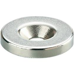 ifm Electronic E12715 Tlumicí magnet E12715 5 ks