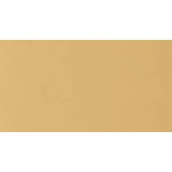 Auhagen 52441 H0, TT zeď, nahozená žlutá (d x š) 200 mm x 100 mm