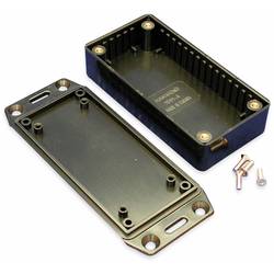 Hammond Electronics 1591AFLBK euro krabice 100 x 50 x 25 ABS černá 1 ks