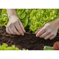 GARDENA Systém Micro-Drip 13211-20 T-kus 4,6 mm