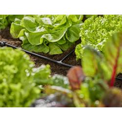 GARDENA Systém Micro-Drip 13211-20 T-kus 4,6 mm