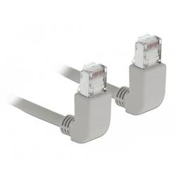 Delock 83513 RJ45 síťové kabely, propojovací kabely CAT 6A S/FTP 0.50 m šedá 1 ks