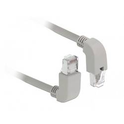 Delock 85861 RJ45 síťové kabely, propojovací kabely CAT 6 S/FTP 0.50 m šedá 1 ks