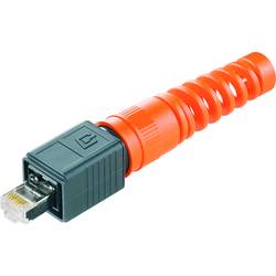 Weidmüller IE-PS-V04P-RJ45-TH-BP datový zástrčkový konektor pro senzory - aktory, 1963190000, 10 ks