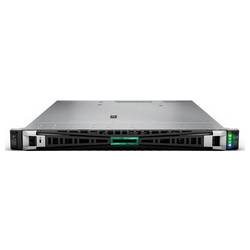 Hewlett Packard Enterprise server DL365 G11 9124 32 GB RAM 480 GB SSD P78090-425