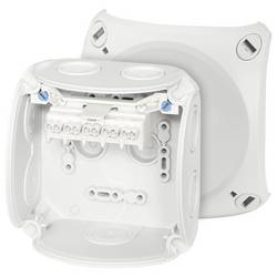 Hensel 62000003 odbočná krabice bez halogenů, uzavíratelné (d x š) 104 mm x 104 mm 1 ks