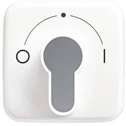 Busch-Jaeger kryt klíčový přepínač, klíčové tlačítko Reflex SI bílá, čistě bílá (RAL 9010) 2CKA001710A1456 1 ks