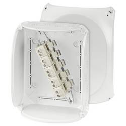 Hensel 62000071 odbočná krabice bez halogenů, uzavíratelné, odolný proti povětrnostním vlivům (d x š) 255 mm x 205 mm 1 ks