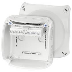 Hensel 62000055 odbočná krabice bez halogenů, uzavíratelné, odolný proti povětrnostním vlivům (d x š) 130 mm x 130 mm 1 ks
