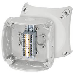 Hensel 62000294 odbočná krabice bez halogenů, uzavíratelné, odolný proti povětrnostním vlivům (d x š) 93 mm x 93 mm 1 ks