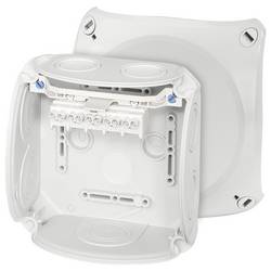 Hensel 62000006 odbočná krabice bez halogenů, uzavíratelné (d x š) 130 mm x 130 mm 1 ks