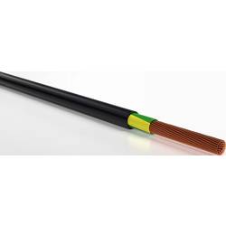 VER NYY-J 1x 16 RE Eca Ri100 energetický kabel NYY-J 1 x 16 mm² černá 100 m