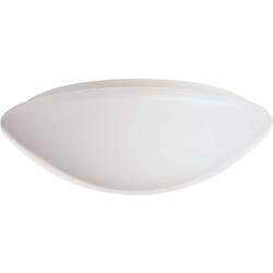 RIDI 420780 420780 LED stropní svítidlo LED bílá