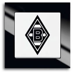 Busch-Jaeger vestavný přepínač Axcent bílá, černá 2000/6UJ/05 1 ks