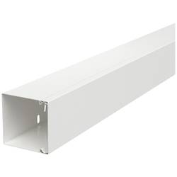 OBO Bettermann 6248694 kabelová lišta držák kabelů (d x š x v) 2000 x 80 x 80 mm 1 ks bílá