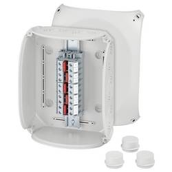 Hensel 62000166 rozbočovací krabice (d x š x v) 112 x 255 x 205 mm šedobílá (RAL 7035) IP55, IP65 1 ks