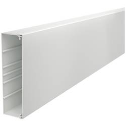 OBO Bettermann 6027172 kabelová lišta držák kabelů (d x š x v) 2000 x 210 x 60 mm 4 ks šedá